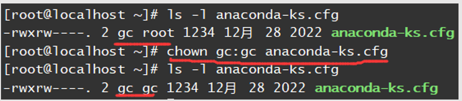 image-20260107232718645